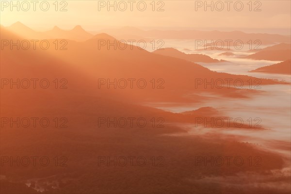 A beautiful sunrise in the Byron Bay Hinterland (east coast of Australia) in NSW. Ground fog in the