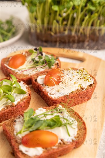 Red beet bread sandwiches with cream cheese, tomatoes and microgreen on gray concrete background.
