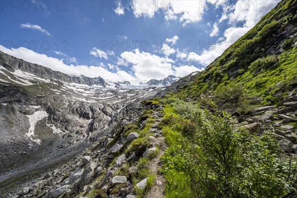 Hiking trail in Bergladnschaft, behind mountain peak and glacier Waxeggkees, Berliner Hoehenweg,