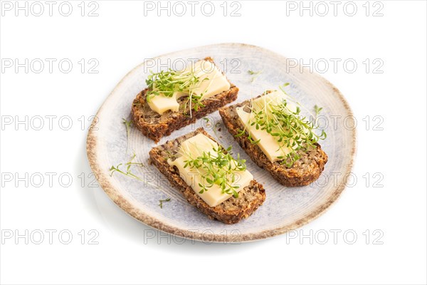 Grain bread sandwiches with cheese and watercress microgreen isolated on white background. side