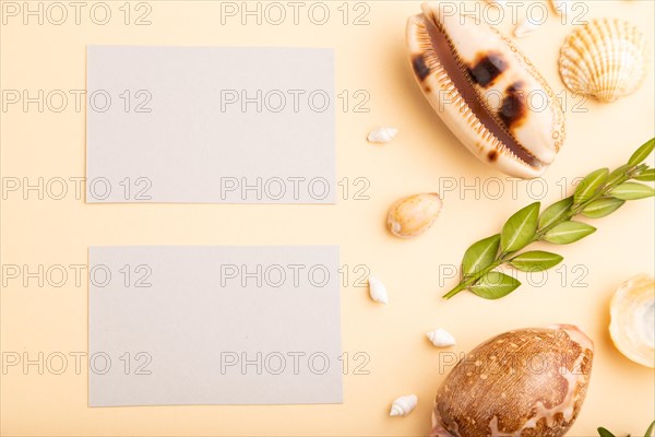 Composition of gray paper business cards, seashells, green boxwood. mockup on orange background.