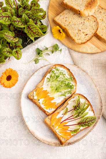 White bread sandwiches with cream cheese, calendula petals and microgreen on gray concrete