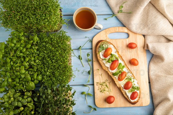 Long white bread sandwich with cream cheese, tomatoes and microgreen on blue wooden background and