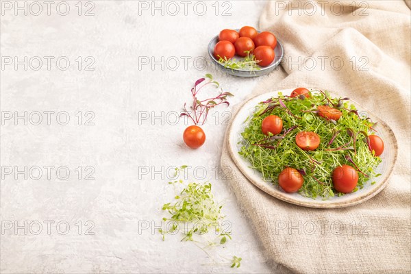 Vegetarian vegetables salad of tomatoes, celery, onion microgreen sprouts on gray concrete