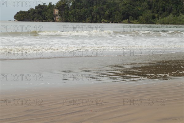 Bako national park, sea sandy beach, overcast, cloudy day, sky and sea. Vacation, travel, tropics
