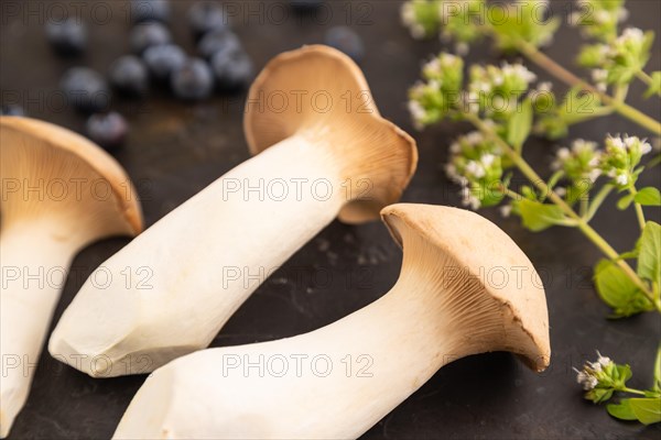 King Oyster mushrooms or Eringi (Pleurotus eryngii) on black concrete background with blueberry,