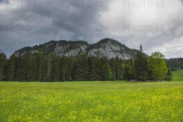 Summer austrian landscape with green meadows and impressive mountains, view from small alpine