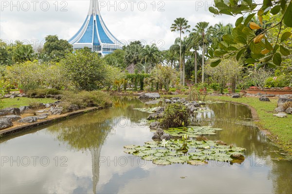 Palm collection in city park in Kuching, Malaysia, tropical garden with large trees, pond with