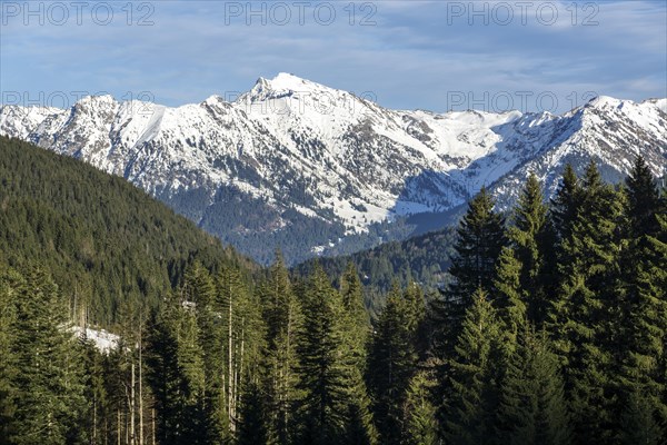 View of Rubihorn, Geissalphorn, Nebelhorn and Schattenhorn, Oberallgaeu, Allgaeu, Bavaria, Germany,