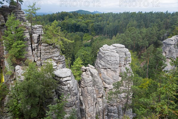 Majestic rock formations rise up in the middle of a dense forest under a cloudy sky, Prachovske
