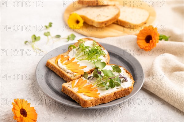 White bread sandwiches with cream cheese, calendula petals and microgreen radish and tagetes on