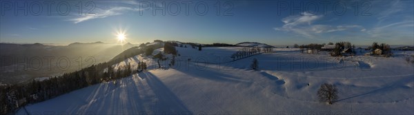Sun shining through bare trees, snowy winter landscape on the Brunnersberg, Solothurn, Switzerland,