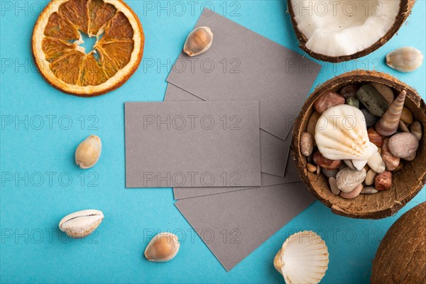 Gray paper business card with coconut and seashells on blue pastel background. Top view, flat lay,