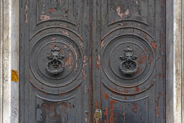 Two door knockers with lion heads on a large entrance door in the historic centre, Genoa, Italy,