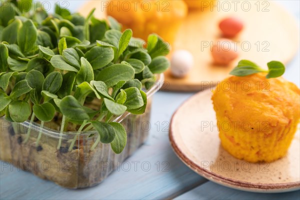 Homemade cakes with chocolate eggs and borage microgreen on a blue wooden background. side view,