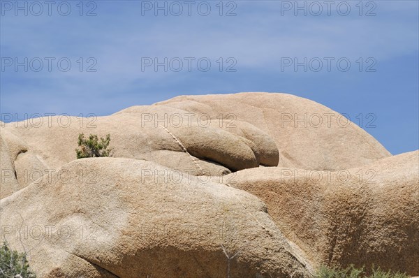 Monzogranite formations, Joshua Tree National Park, Palm Desert, Southern California, USA, North