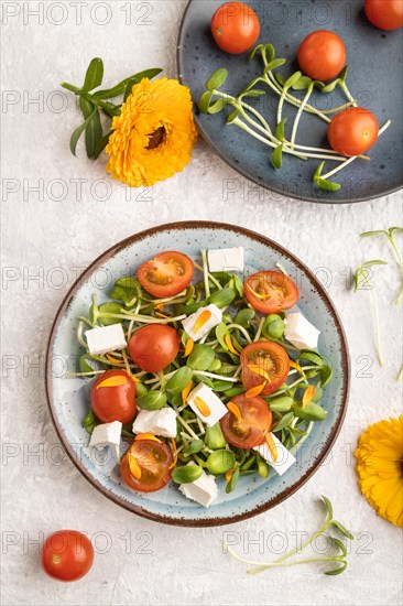 Vegetarian vegetables salad of tomatoes, marigold petals, microgreen sprouts, feta cheese on gray