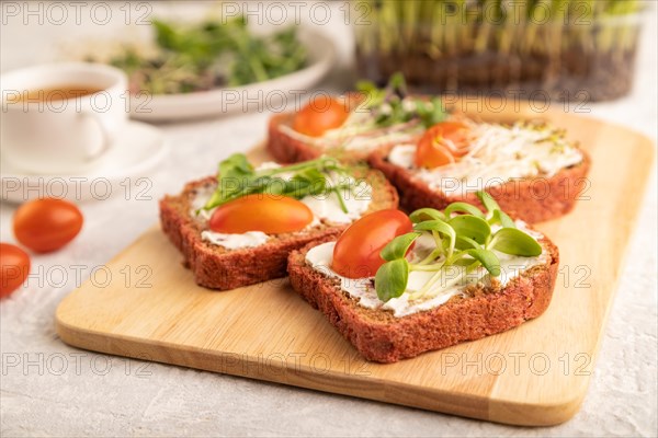 Red beet bread sandwiches with cream cheese, tomatoes and microgreen on gray concrete background.