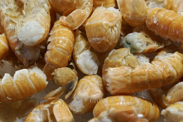 Scampi, seafood, Campo de la Pescaria fish market, Rialto market, San Polo neighbourhood, Venice,