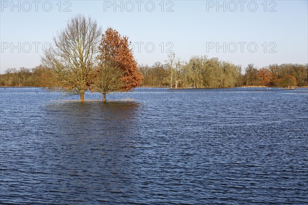 Winter floods 2024 on the Elbe and Mulde rivers with flooding of the meadows, ice on the meadows