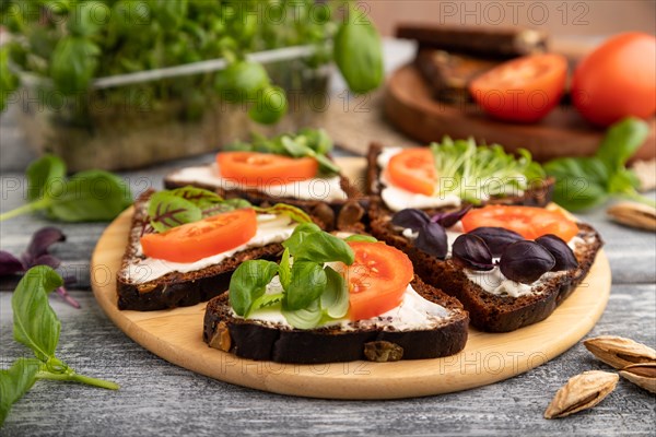 Grain rye bread sandwiches with cream cheese, tomatoes and basil microgreen on gray wooden