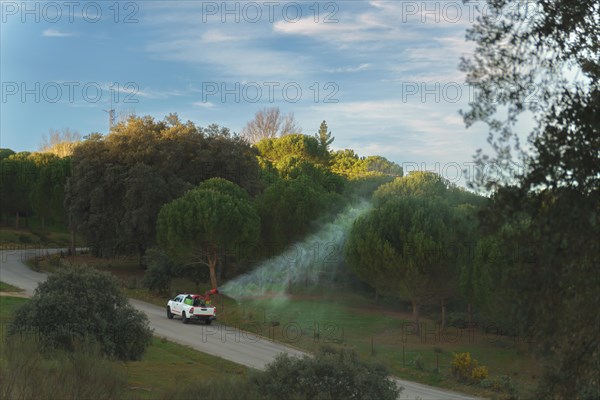 A vehicle sprays a pine forest against the processionary caterpillar pest, which is poisonous for
