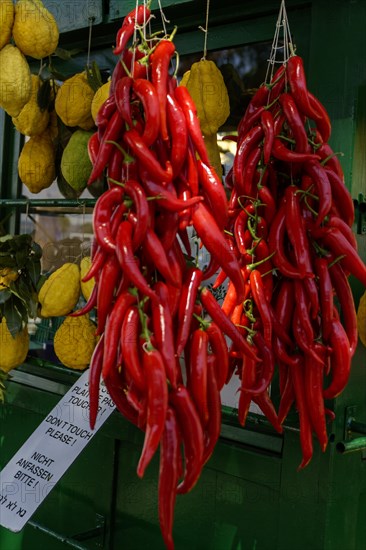 Stall with chilli peppers and lemon citrus (Citrus medica), Cedrat, Lake Garda, Sirmione, Province