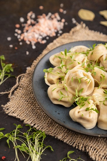 Dumplings with pepper, salt, herbs, microgreen on black concrete background and linen textile. Side