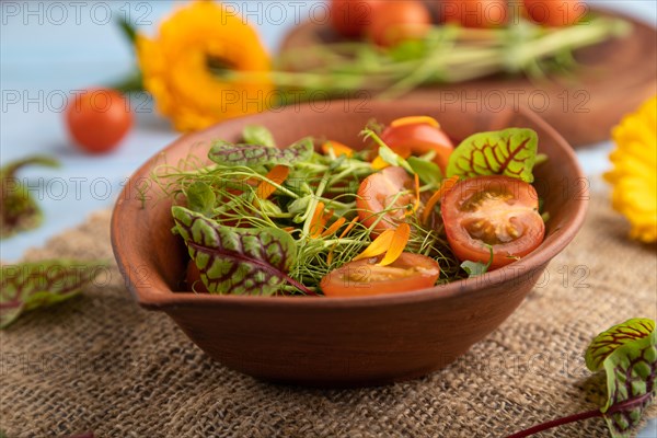 Vegetarian vegetables salad of tomatoes, marigold petals, microgreen sprouts on blue wooden