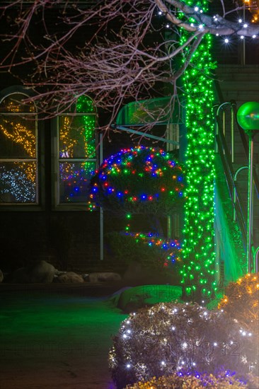 Reflections in windows of Christmas lights on sculpted evergreen trees next to concrete stairway in