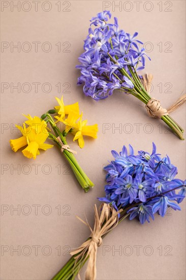 Spring snowdrop flowers bluebells, narcissus on beige pastel background. side view, close up, still