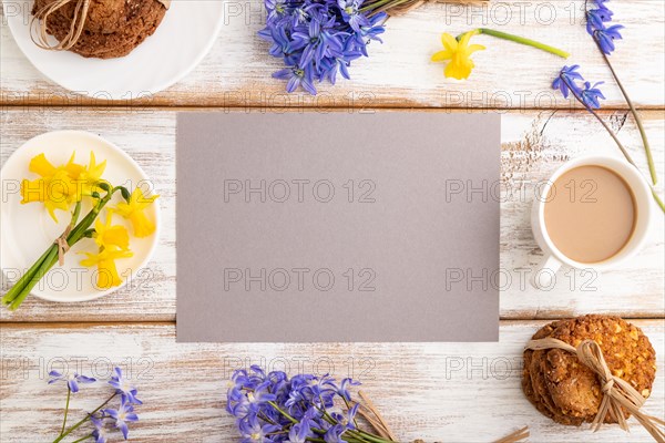 Gray paper sheet with oatmeal cookies, spring snowdrop flowers bluebells, narcissus and cup of