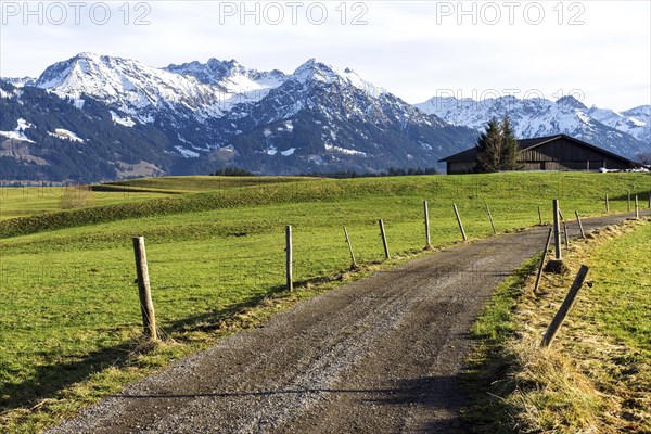 View of Heidelbeerkopf, Schnippenkopf, Entschenkopf and Rubihorn, near Kierwang, Illertal,