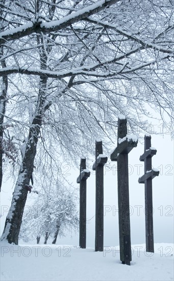 Plague crosses near Emmingen from Egg, Winter, Tuttlingen, Swabian Alb, Baden-Wuerttemberg,