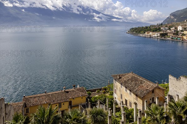 View over the Limonaia del Castel to Lake Garda and the Garda mountains, Limone sul Garda,