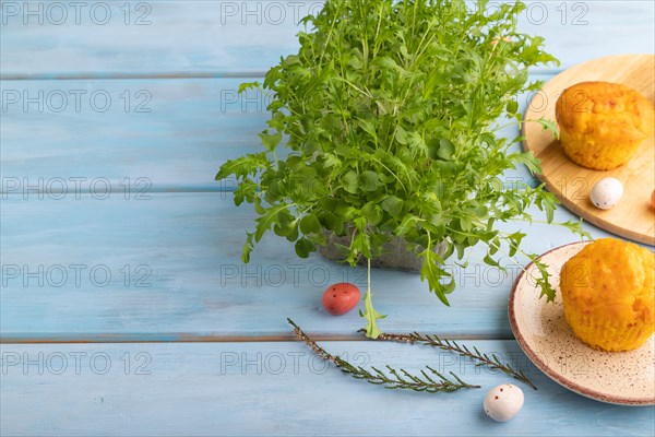 Homemade cakes with chocolate eggs and mizuna cabbage microgreen on a blue wooden background. side