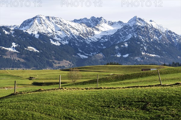 View of Heidelbeerkopf, Schnippenkopf, Entschenkopf and Rubihorn, near Kierwang, Illertal,