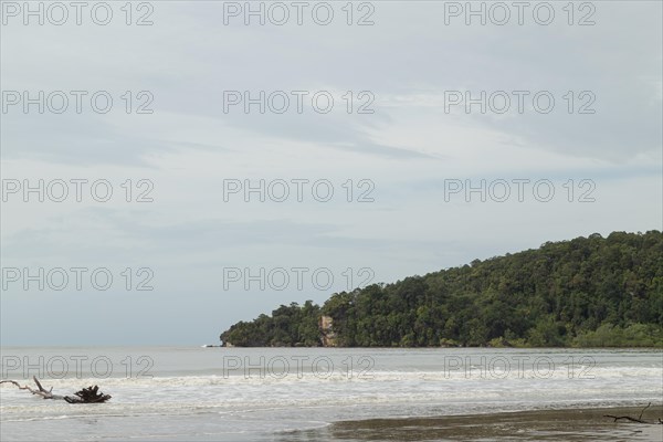 Bako national park, sea sandy beach, overcast, cloudy day, sky and sea. Vacation, travel, tropics