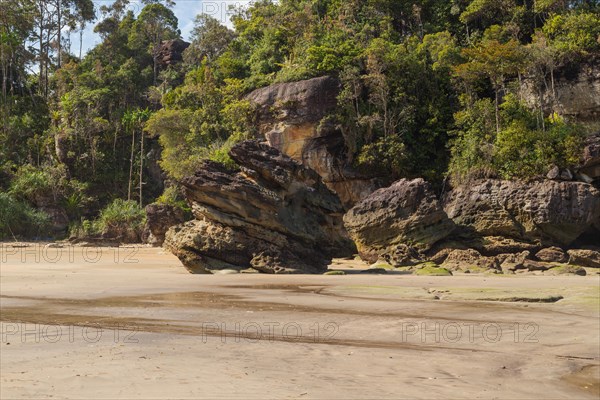 Cliff in Bako national park, sunny day, blue sky and sea. Vacation, travel, tropics concept, no