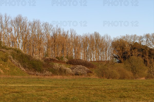 Ice Age terrain formations on the River Trebel, landscape characterised by the Ice Age,