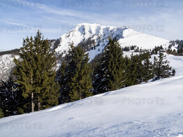 Winter landscape, view to the Schafberg, Sankt Wolfgang am Wolfgangsee, Salzkammergut, Upper