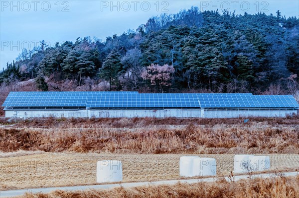 Large array of solar panels setup in countryside in front of hillside covered in lush foliage under