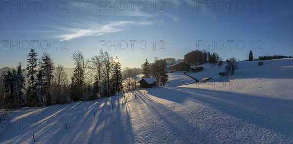 Sun shining through bare trees, snowy winter landscape on the Brunnersberg, Solothurn, Switzerland,