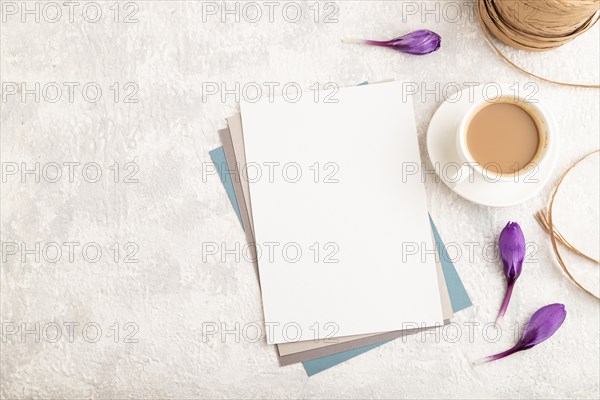 White paper sheet mockup with spring snowdrop crocus flowers and cup of coffee on gray concrete