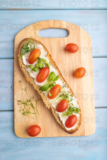 Long white bread sandwich with cream cheese, tomatoes and microgreen on blue wooden background. top