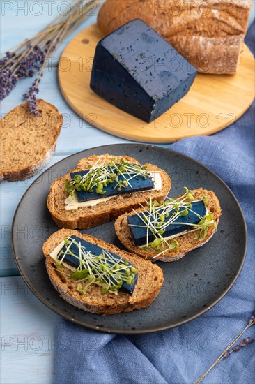 Bread sandwiches with blue lavender cheese and mustard microgreen on blue wooden background and