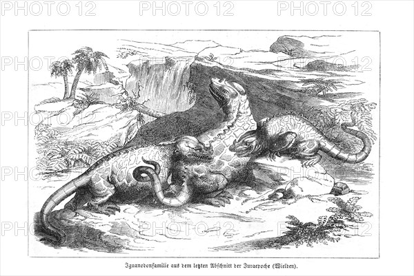Iguanodon, dinosaur, lizard, mother with two young animals, animal family in a wild, natural