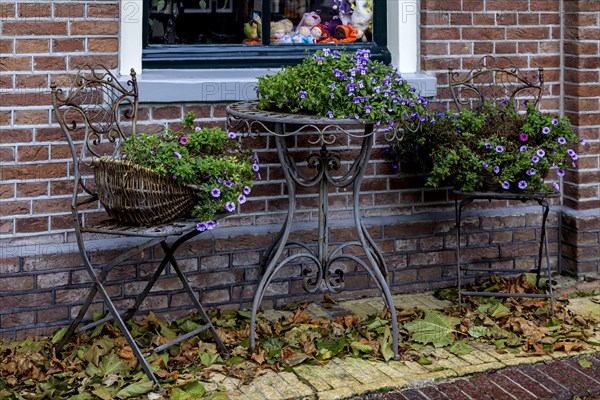Flower decoration in front of a house, Oosterend, North Sea island Texel, North Holland,