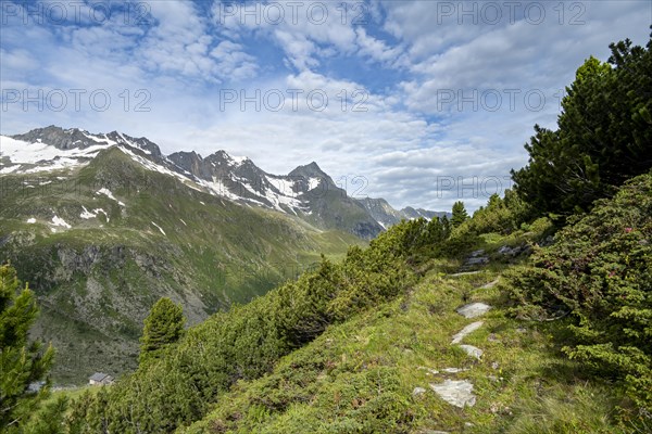 Hiking trail in a picturesque mountain landscape, Berliner Hoehenweg, Zillertal Alps, Tyrol,