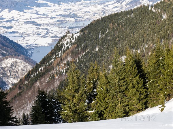 Winter atmosphere, snowy landscape, view from the Schafbergalm to the Mondsee, near St. Wolfgang,